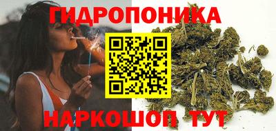 ГАЛЛЮЦИНОГЕННЫЕ ГРИБЫ Кинель