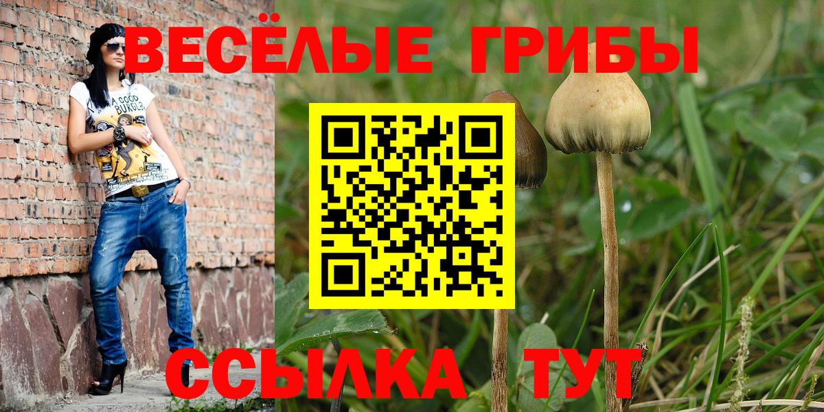 Галлюциногенные грибы Cubensis Майский